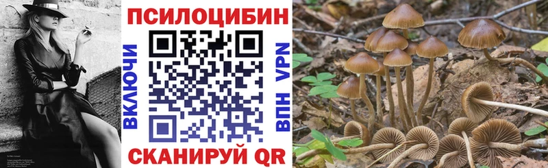 как найти   площадка наркотические препараты  Псилоцибиновые грибы Psilocybe  Соль-Илецк 